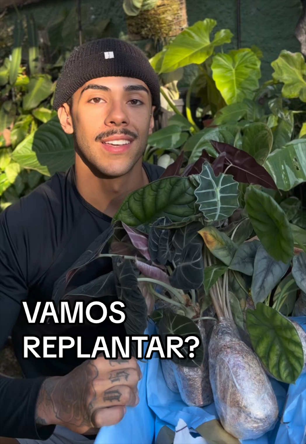 @Otávio Pichirillo