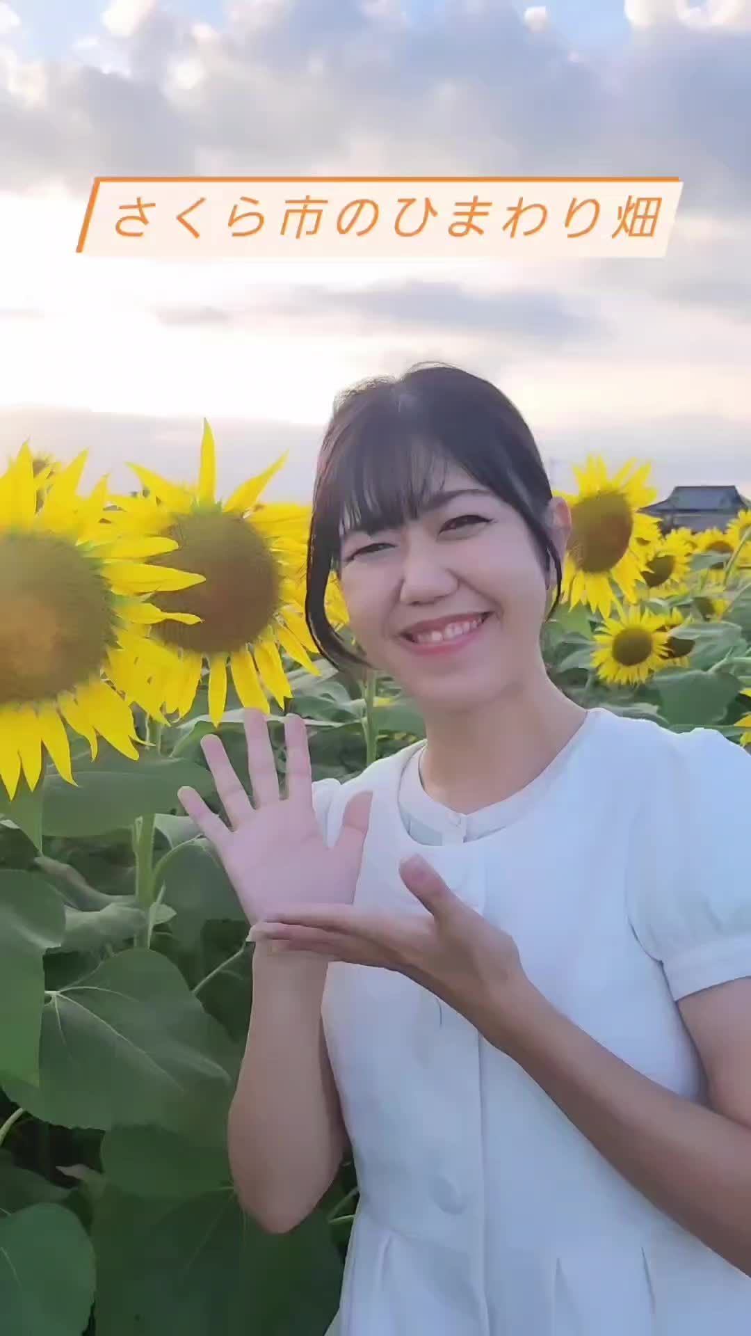 @中里弥菜@MC