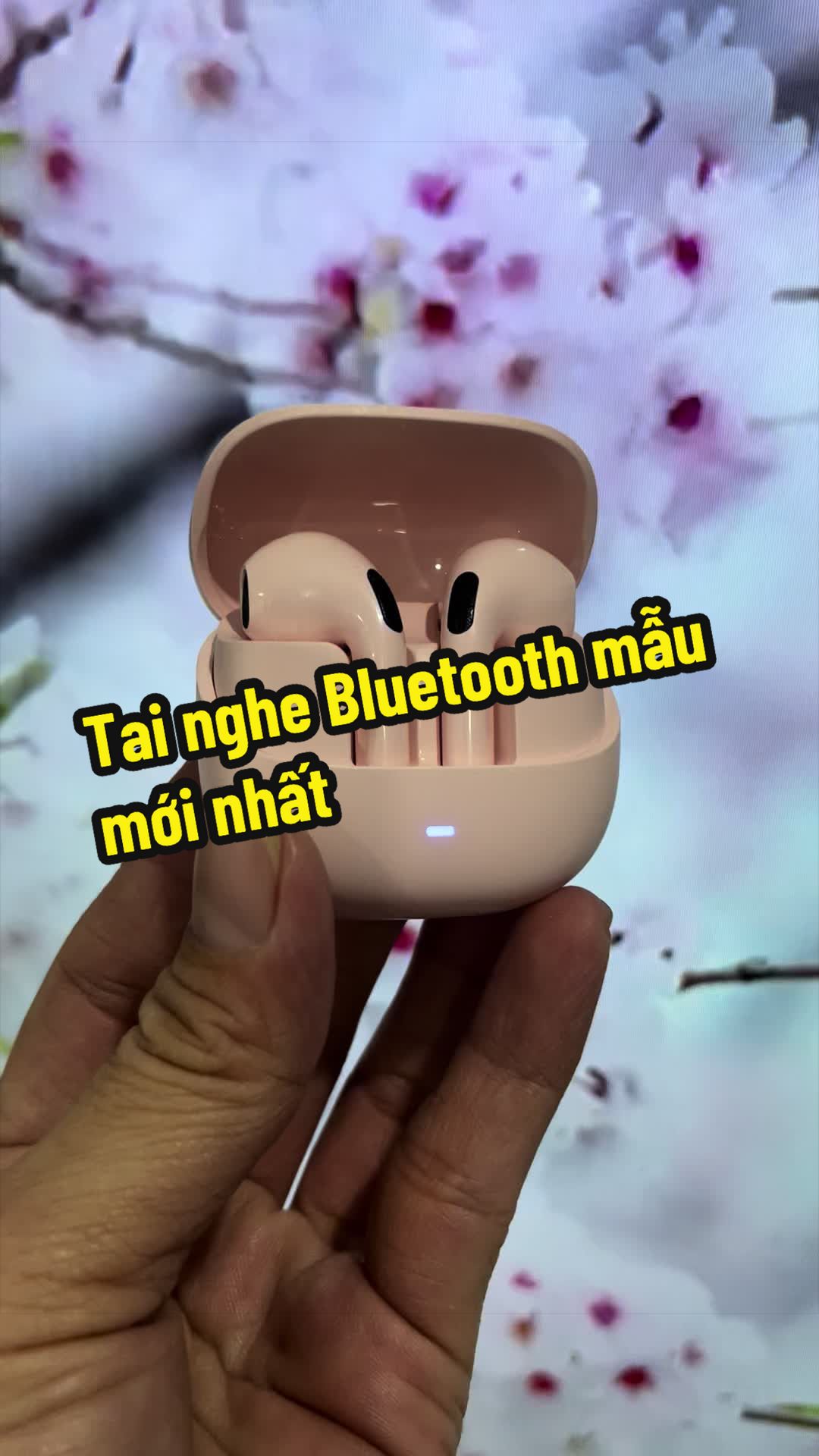 @Hạt Đậu Nhỏ ☘️