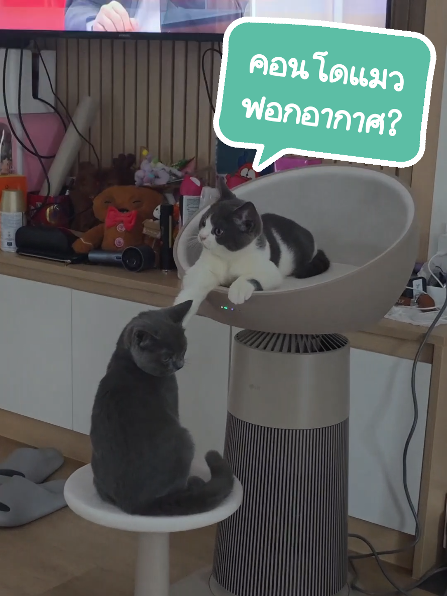 @Whataholic