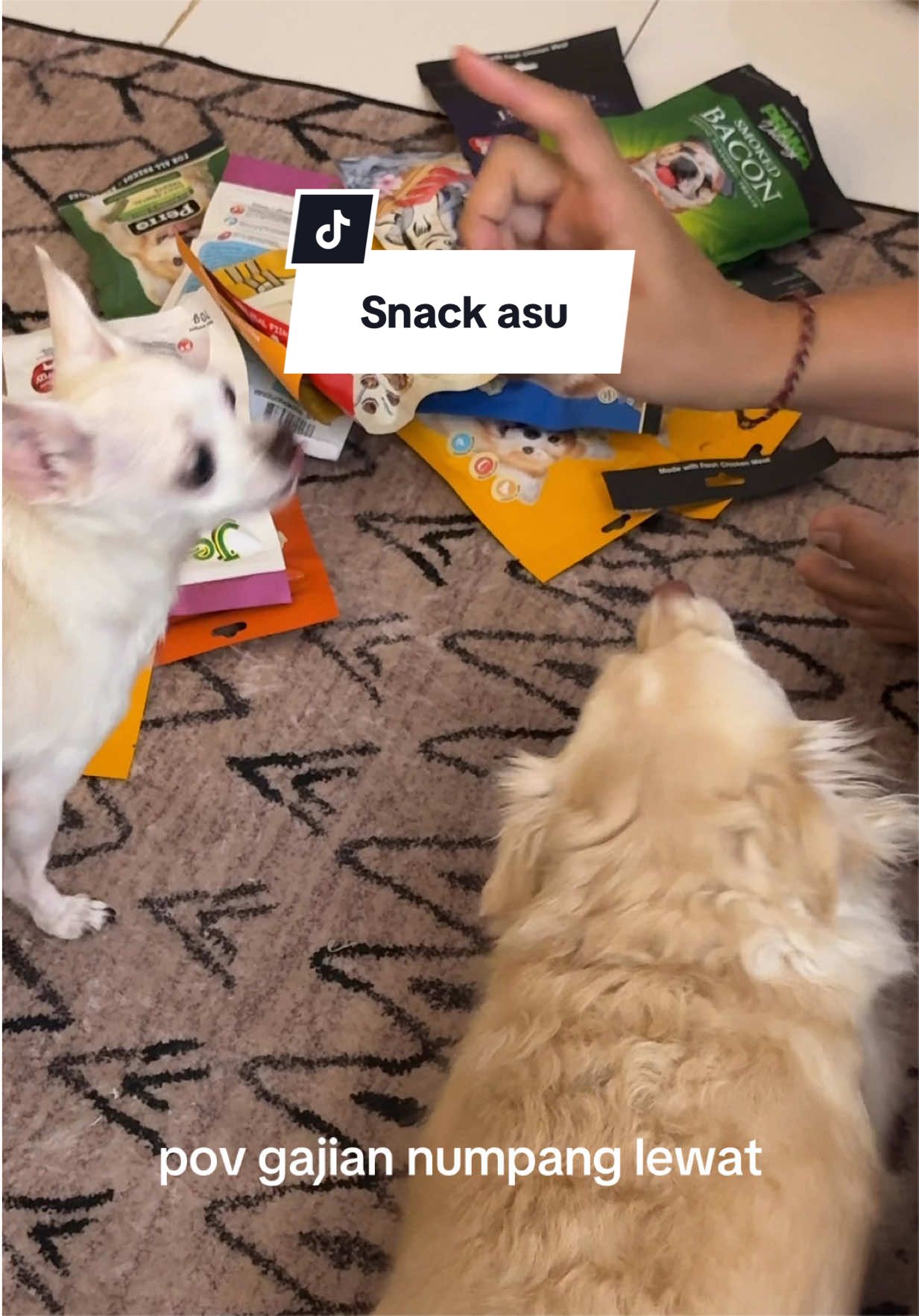 @hey, smooch! 𐂯