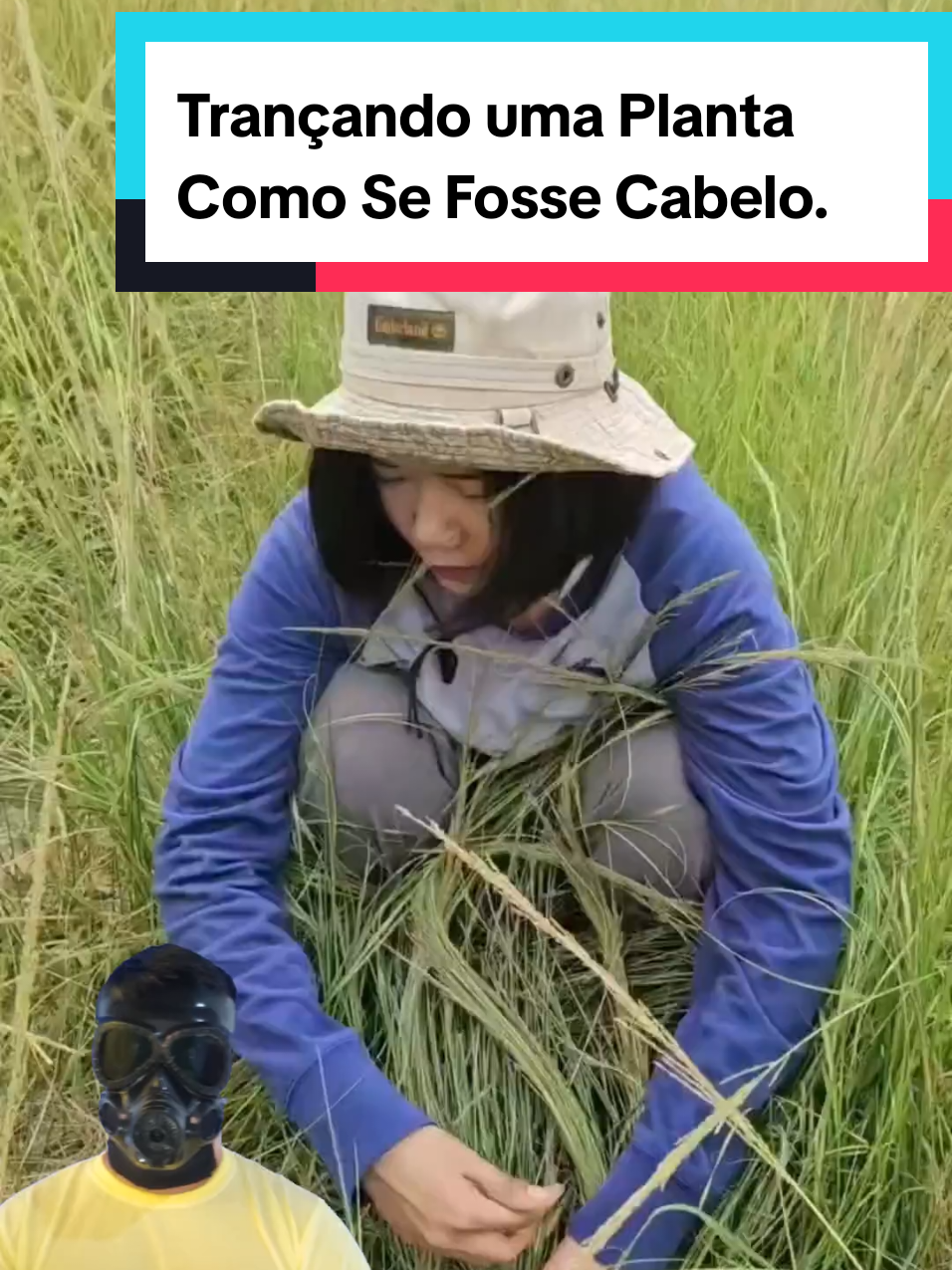 @Mundo da Curiosidades