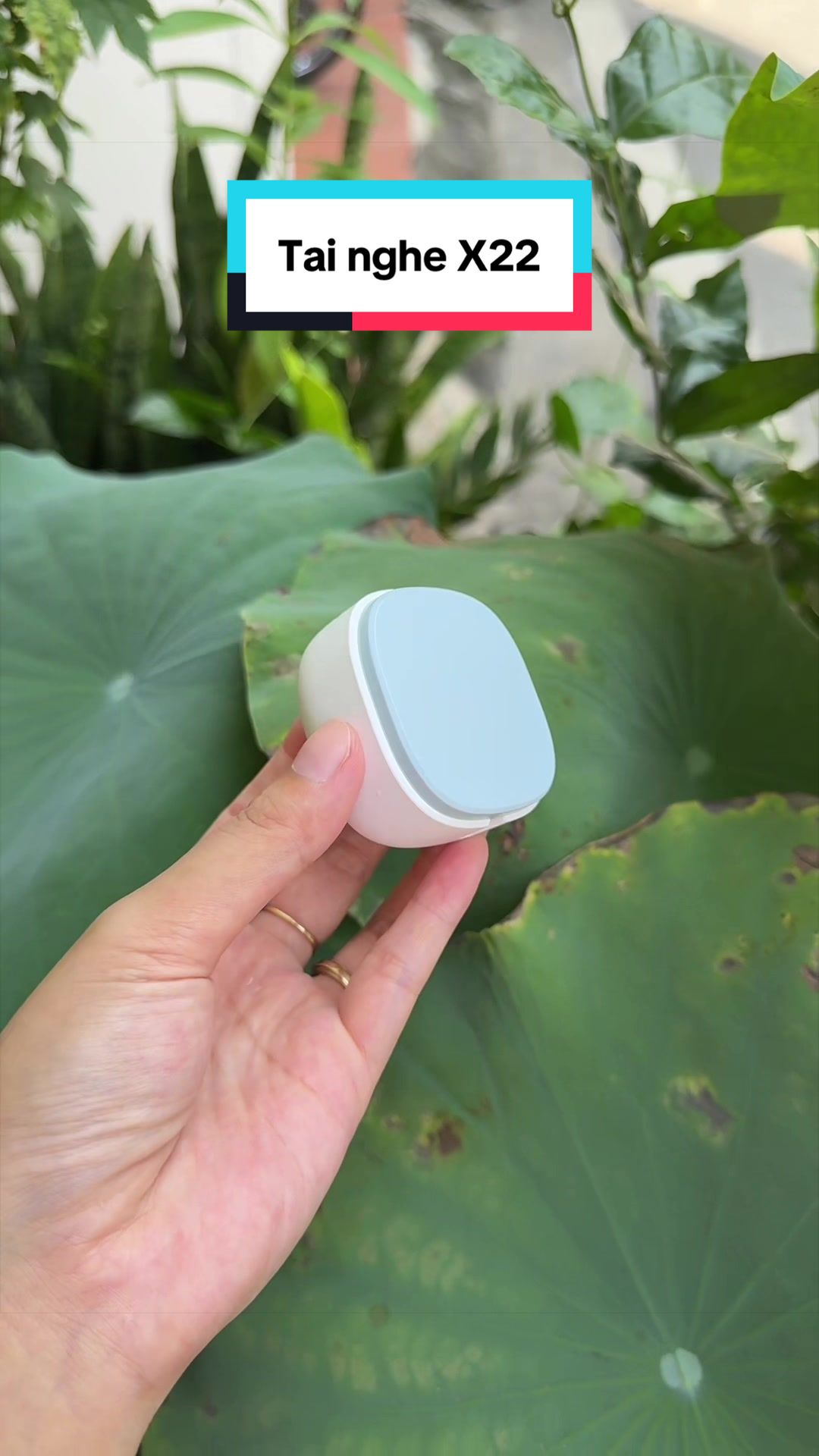 @Tuấn Bình Thường