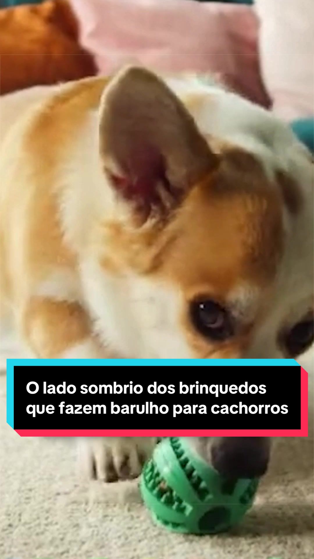 @Banheira de conhecimento
