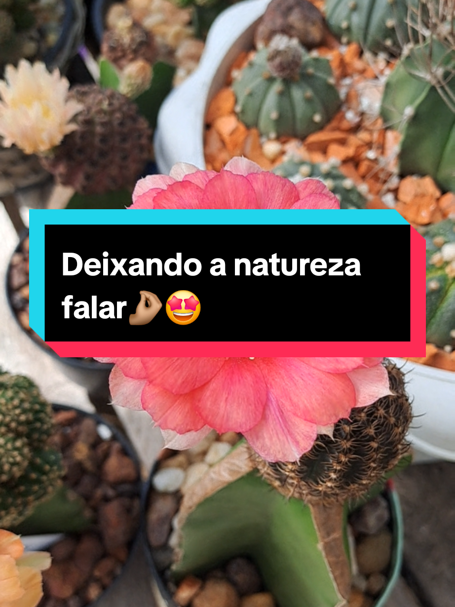 @Val Brito🌻✍️