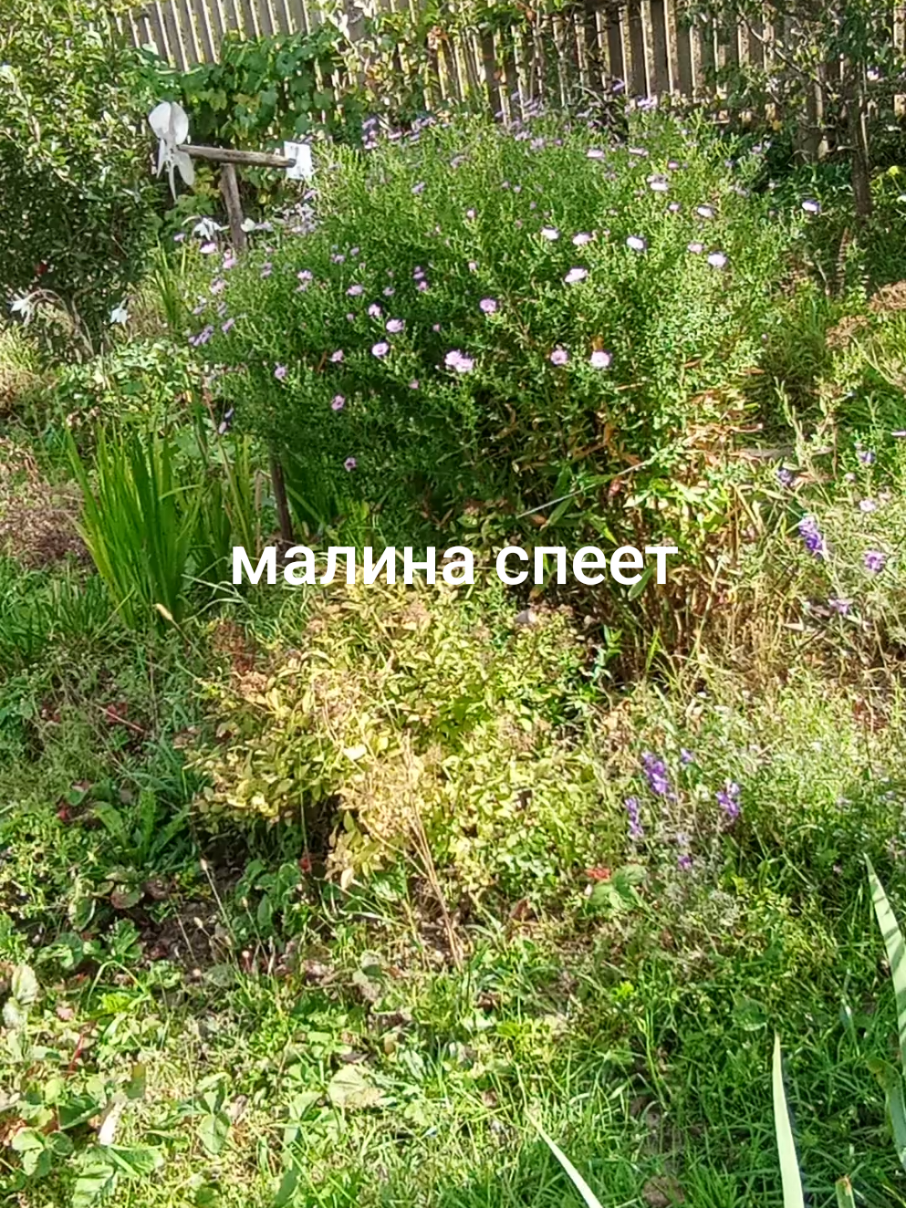 @Светлана Казымова