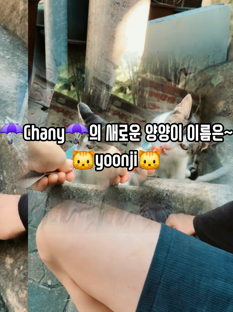 @๐Sera_pickleโ๏ธChanyโ๏ธ