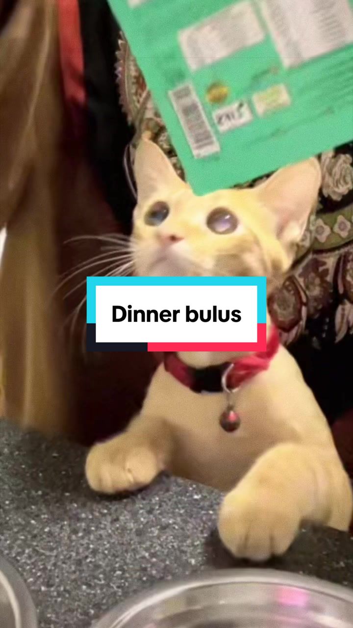 @JANGAN Teng🅾️k