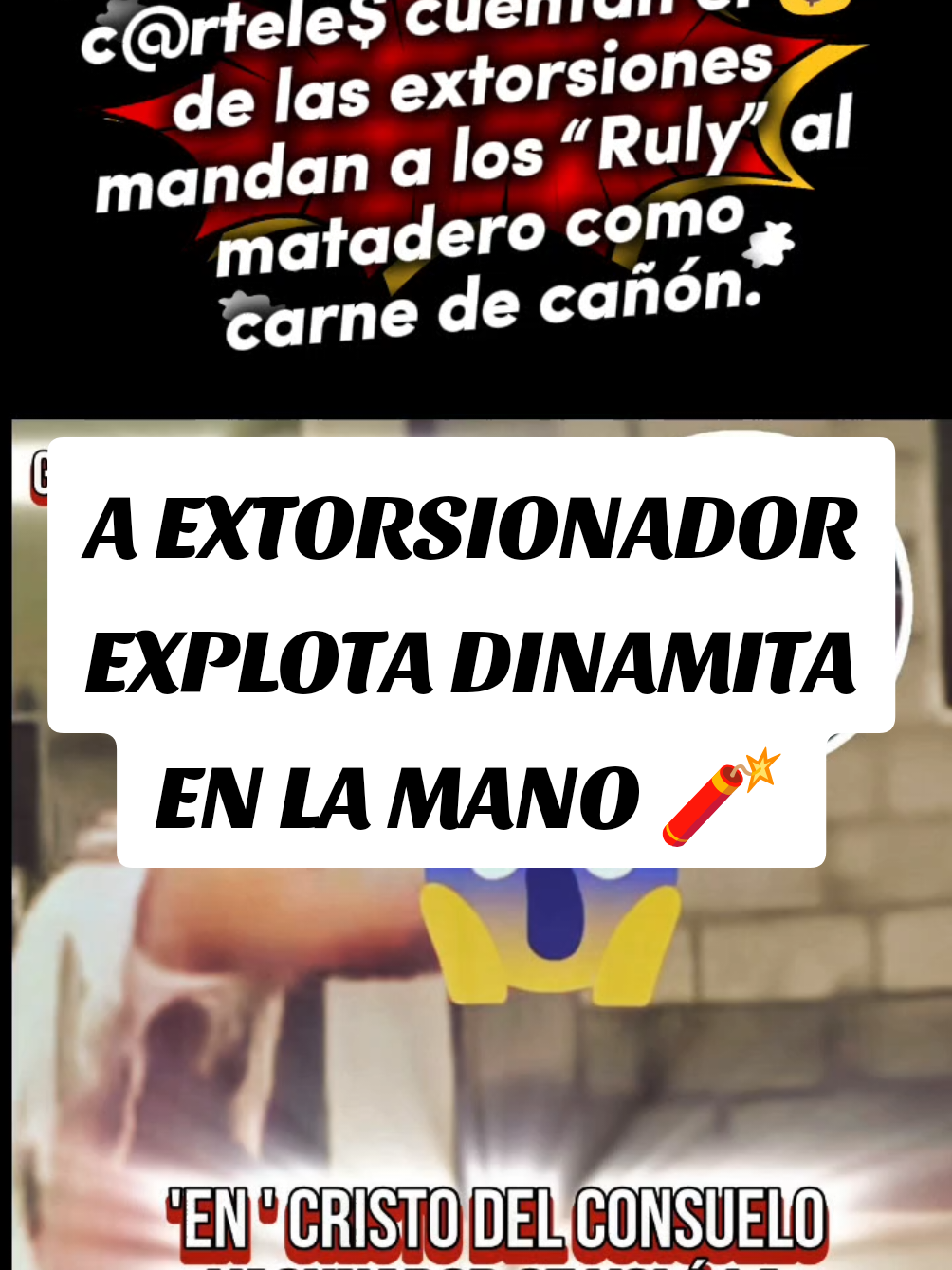 @gatomaiko2.0