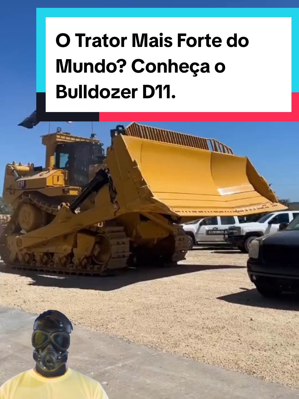 @Mundo da Curiosidades