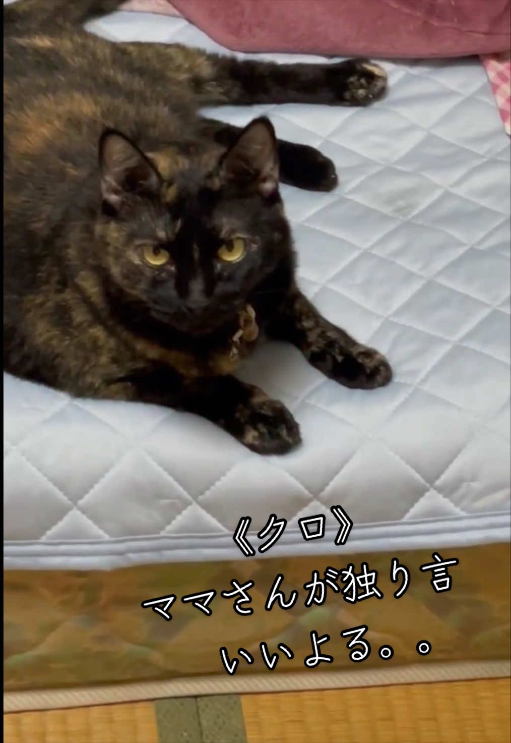 @聴々物語PROJECT
