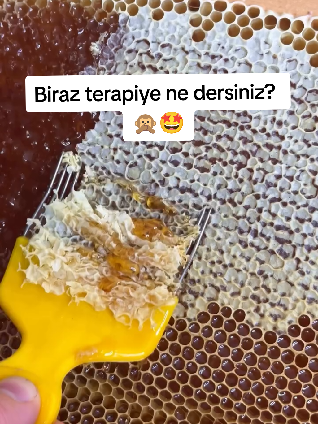 @Doğan Arıcılık 🐝