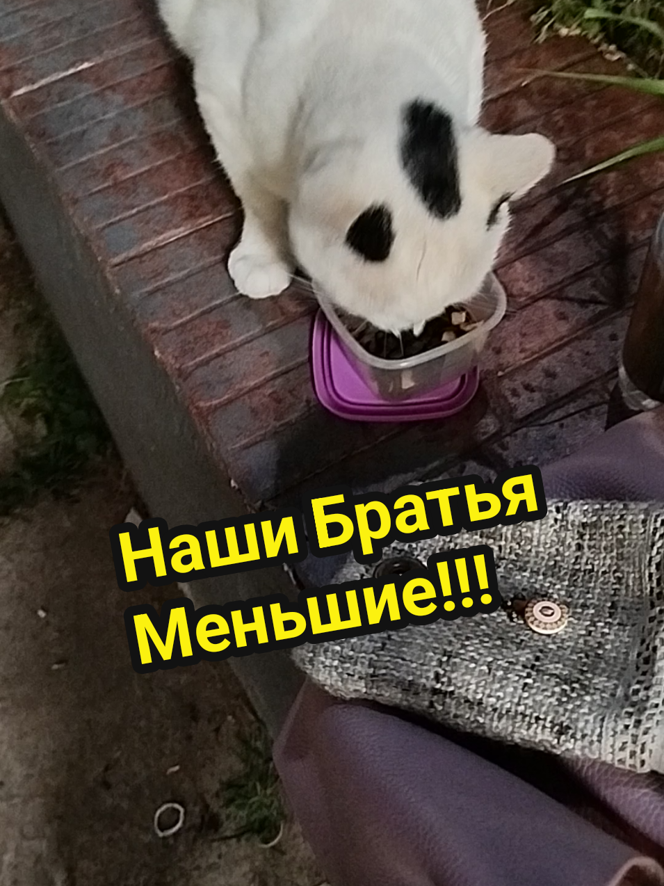 @IRINA