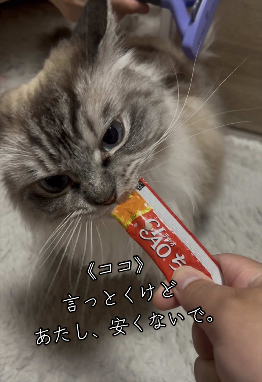 @聴々物語PROJECT