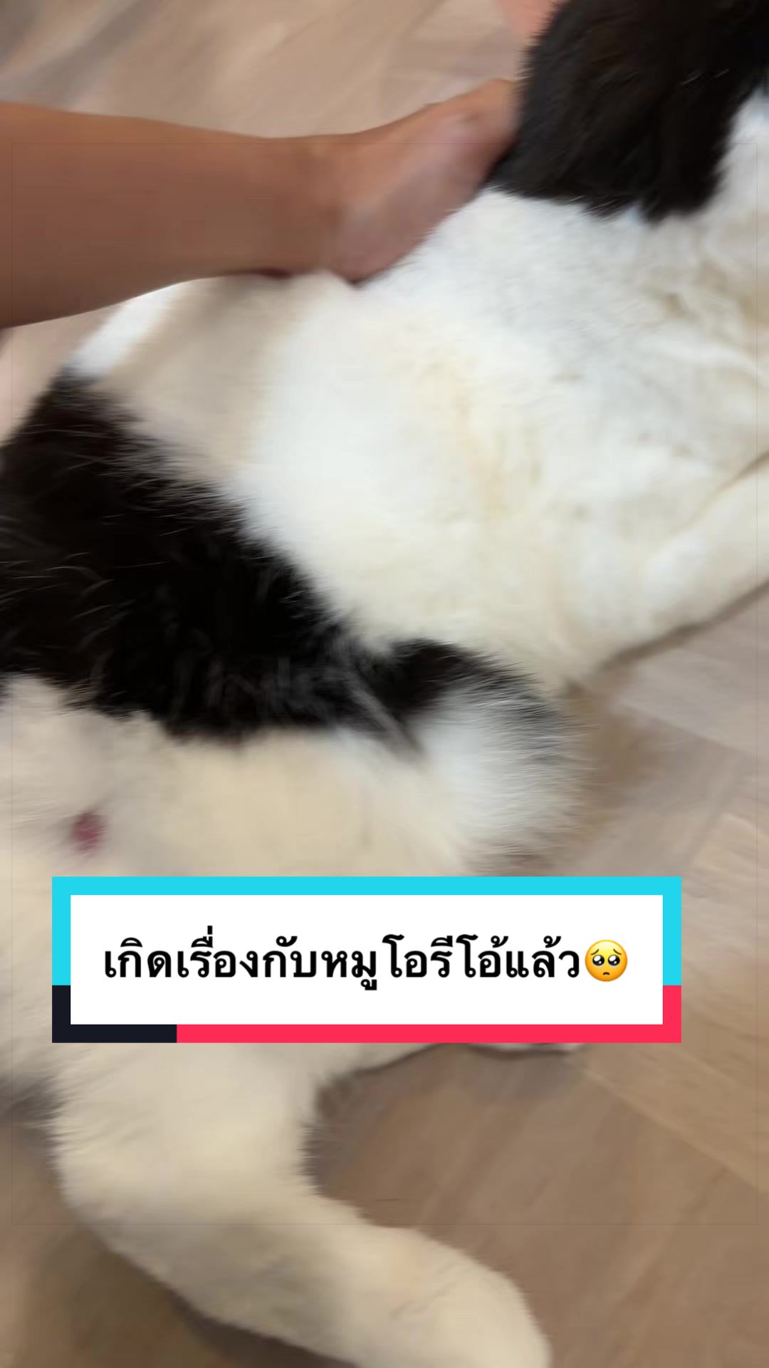 @คิมบับครับผม