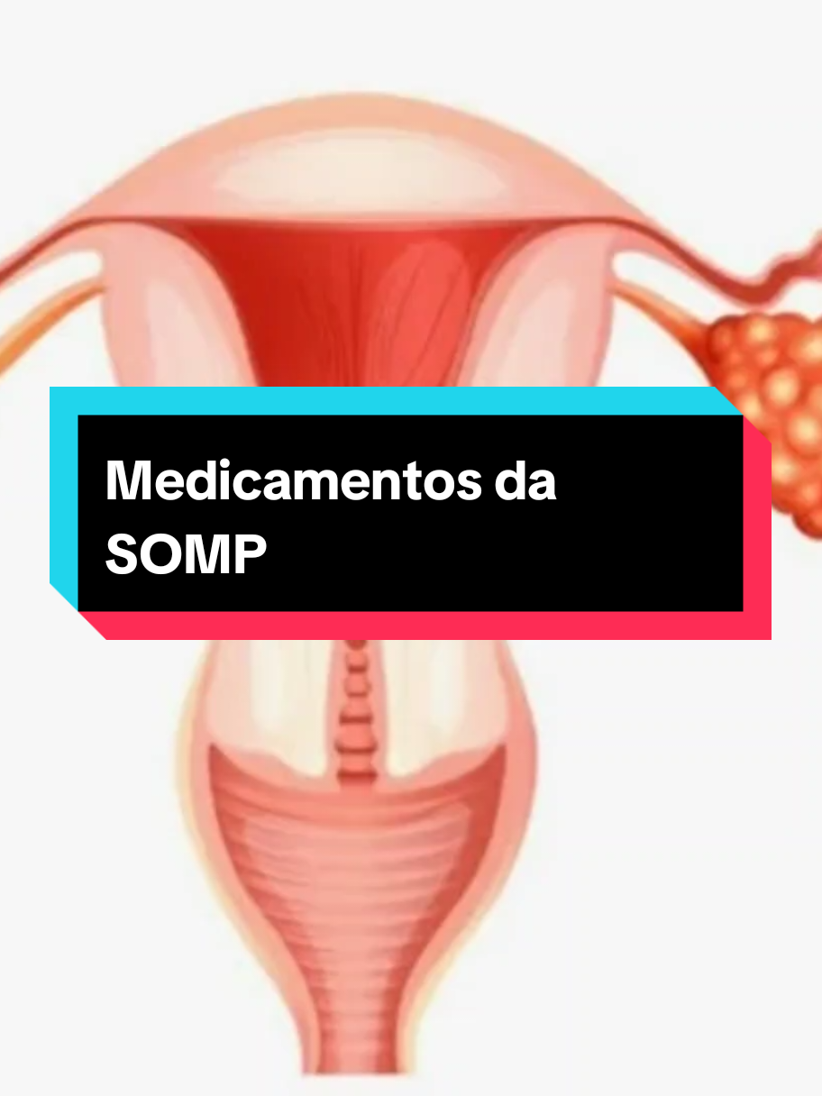 @Gabriela Souza
