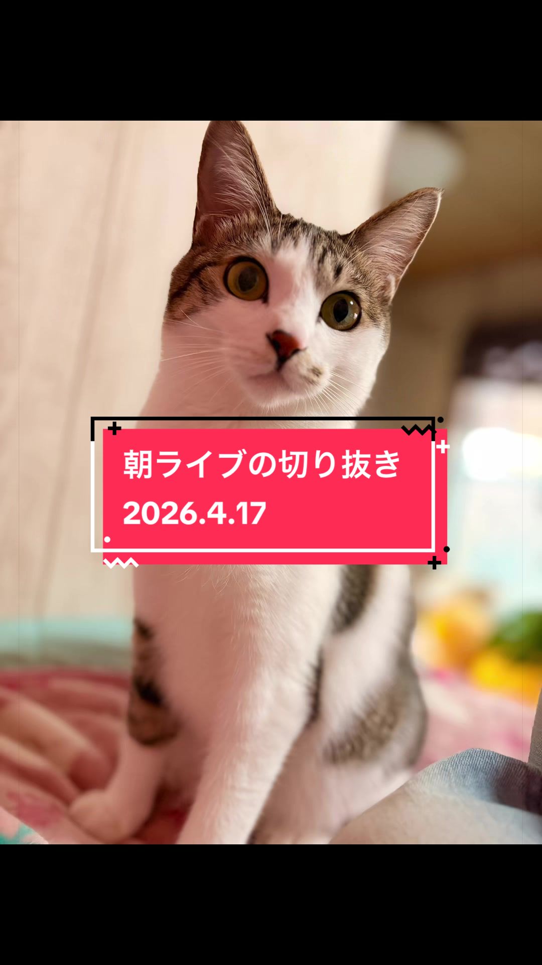 @👑ミキティ👑🙀🍜🙀🌿