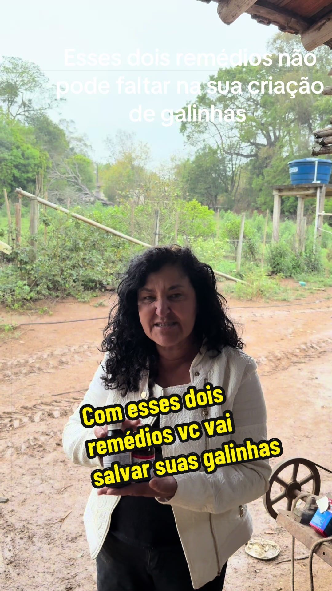 @Silvana Franco /vida na roça