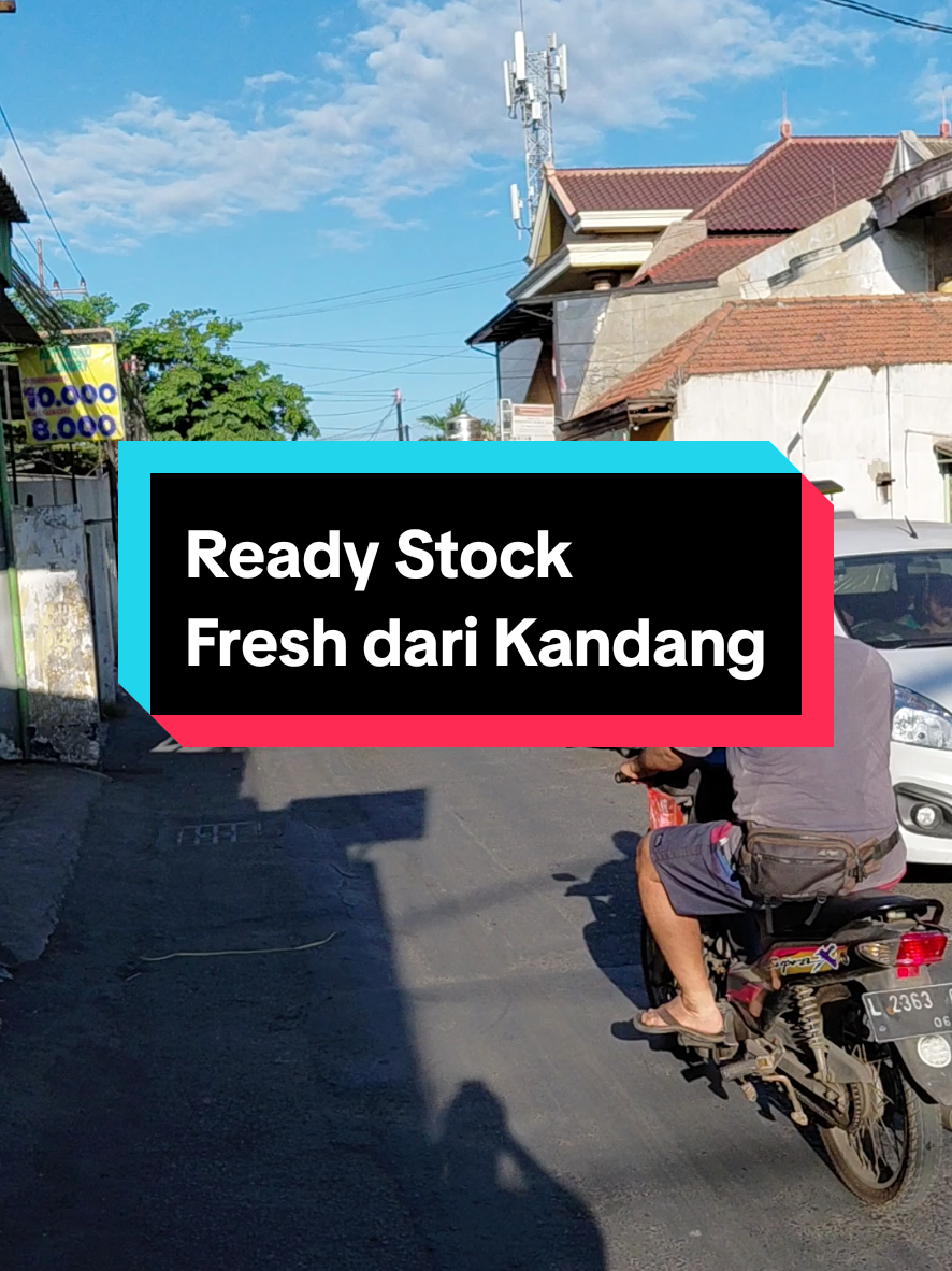 @Ndog Fresh