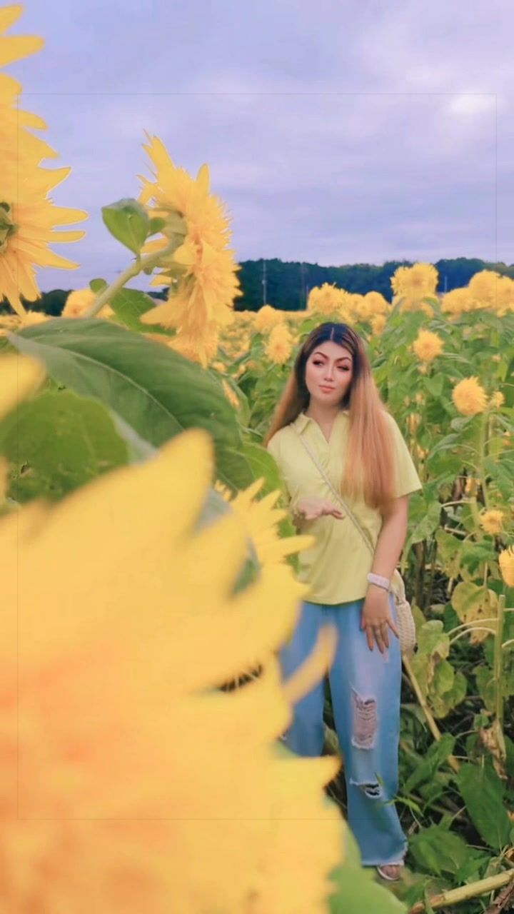 @Nami14331