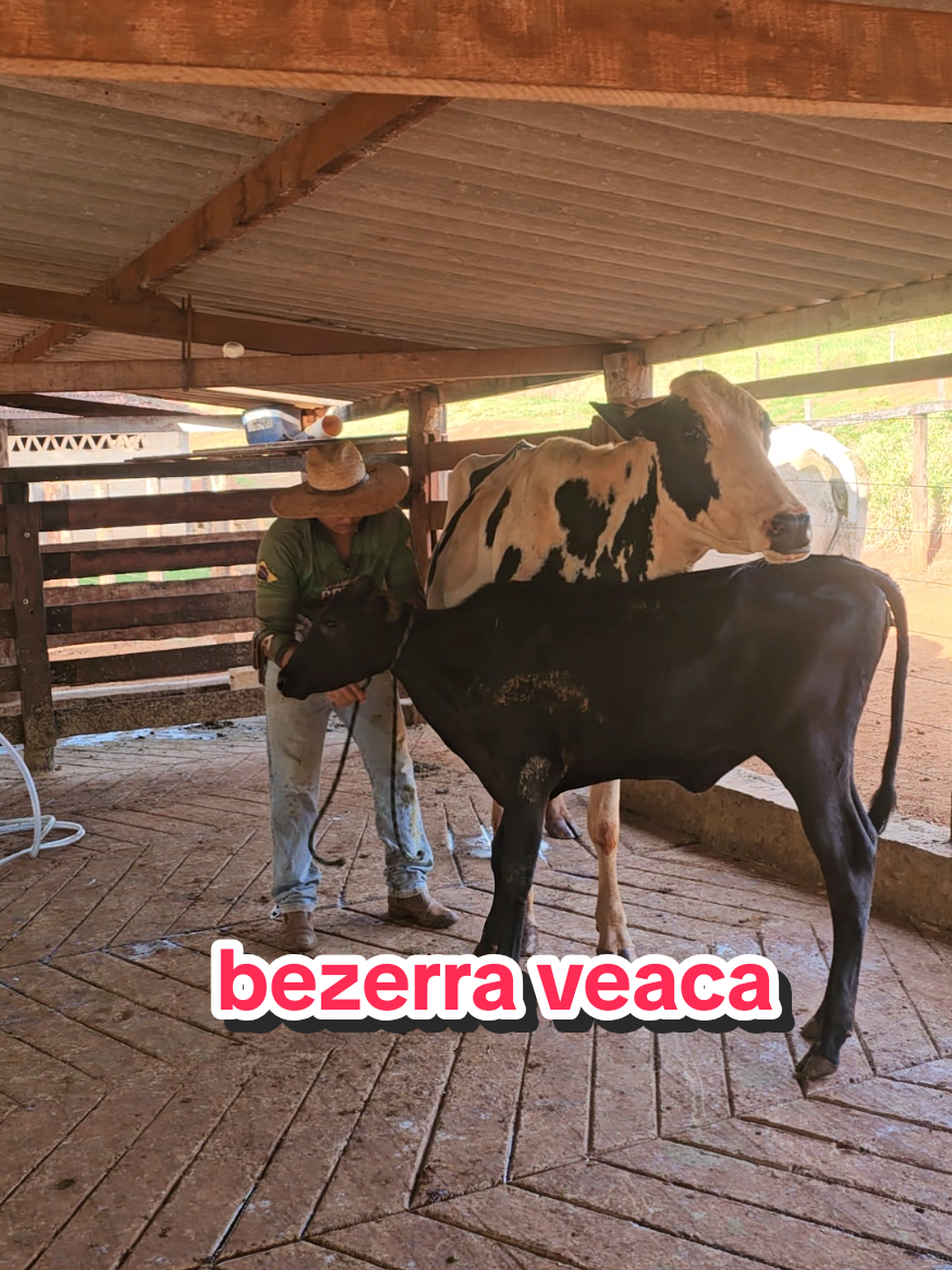 @Geovane neto