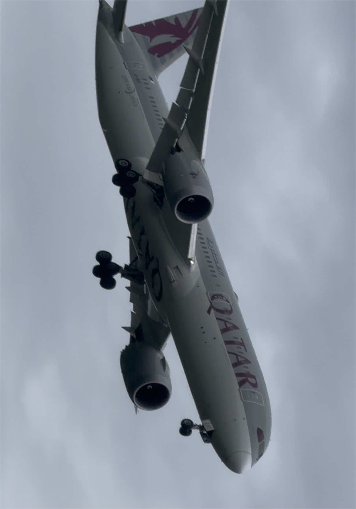 @AvGeek [MJ]