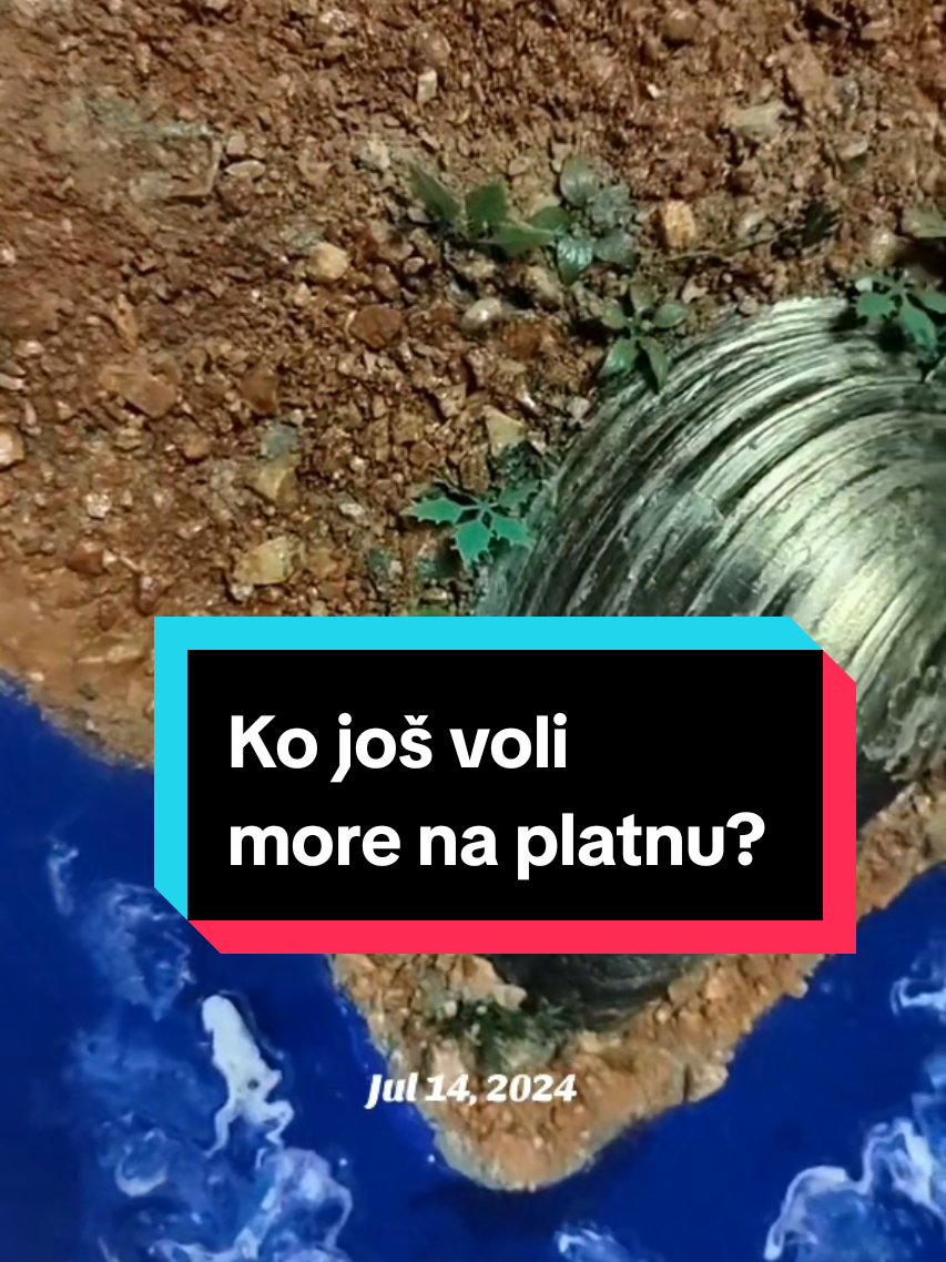 @anee_artist 🇷🇸
