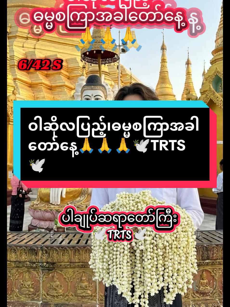 @๐ฟ๐๐๐๐ ๐ฟ๐๐๐๐ ๐พ๐๐
