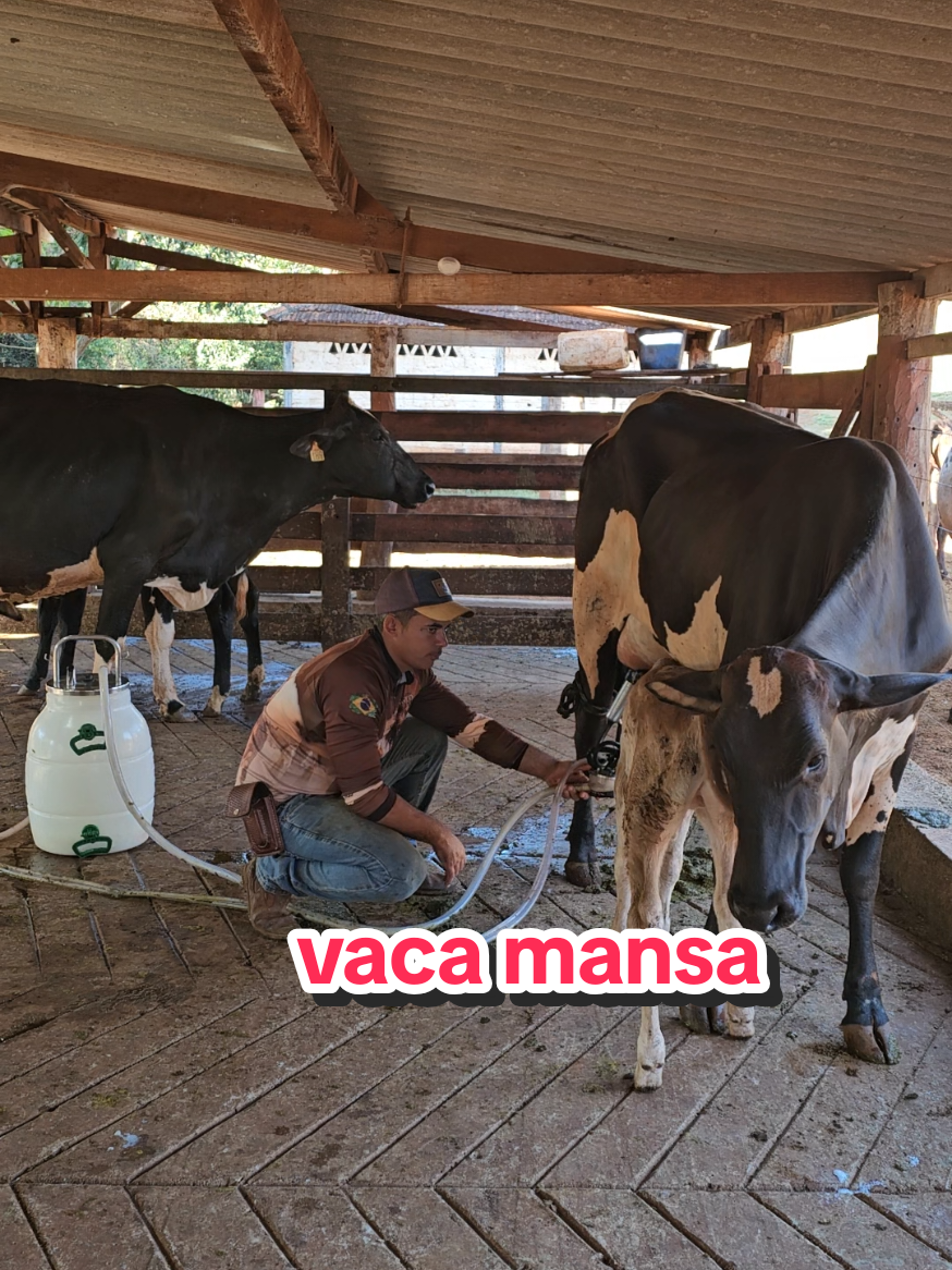 @Geovane neto