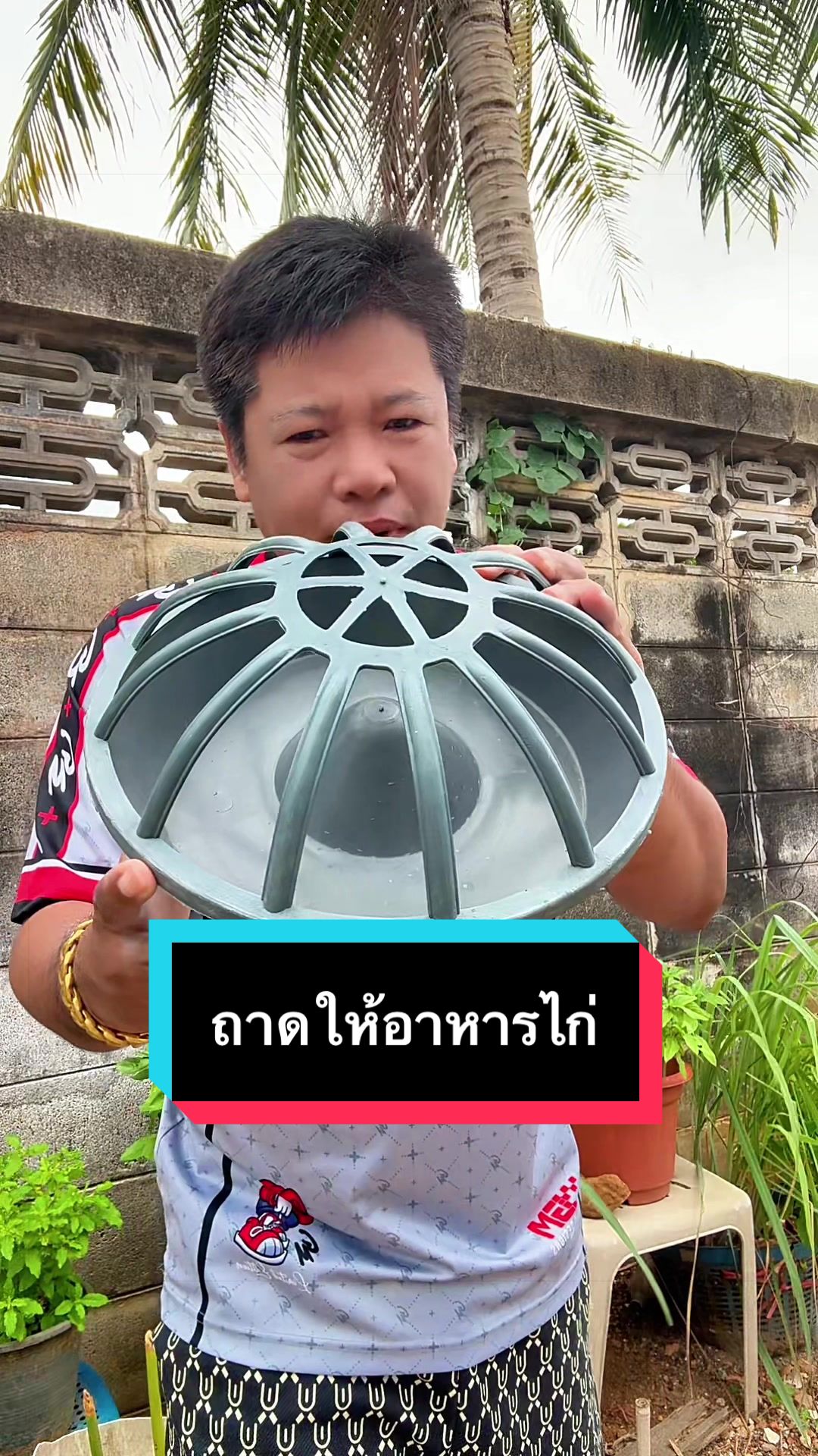 @วุดดี้ รีวิว56
