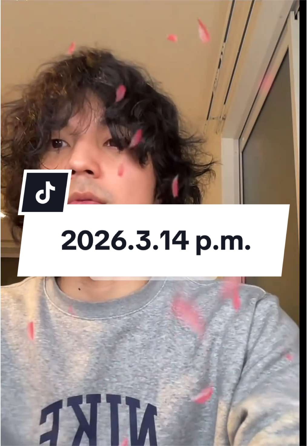 @ã«ãããŽð¥Šð®