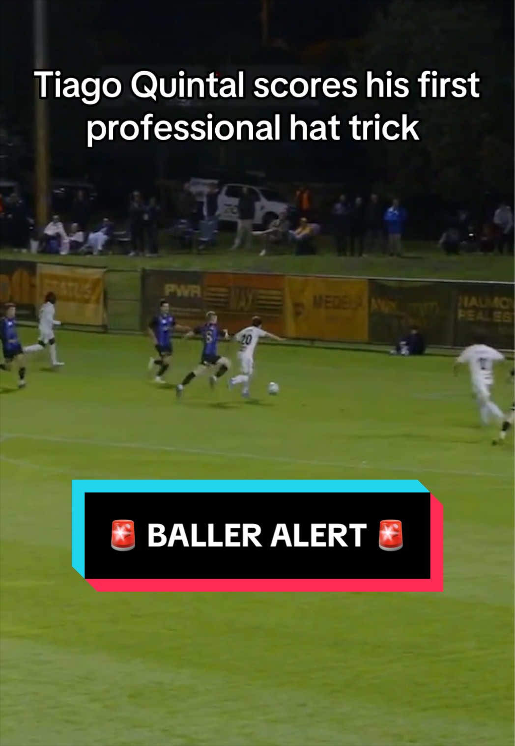 @Sydney FC