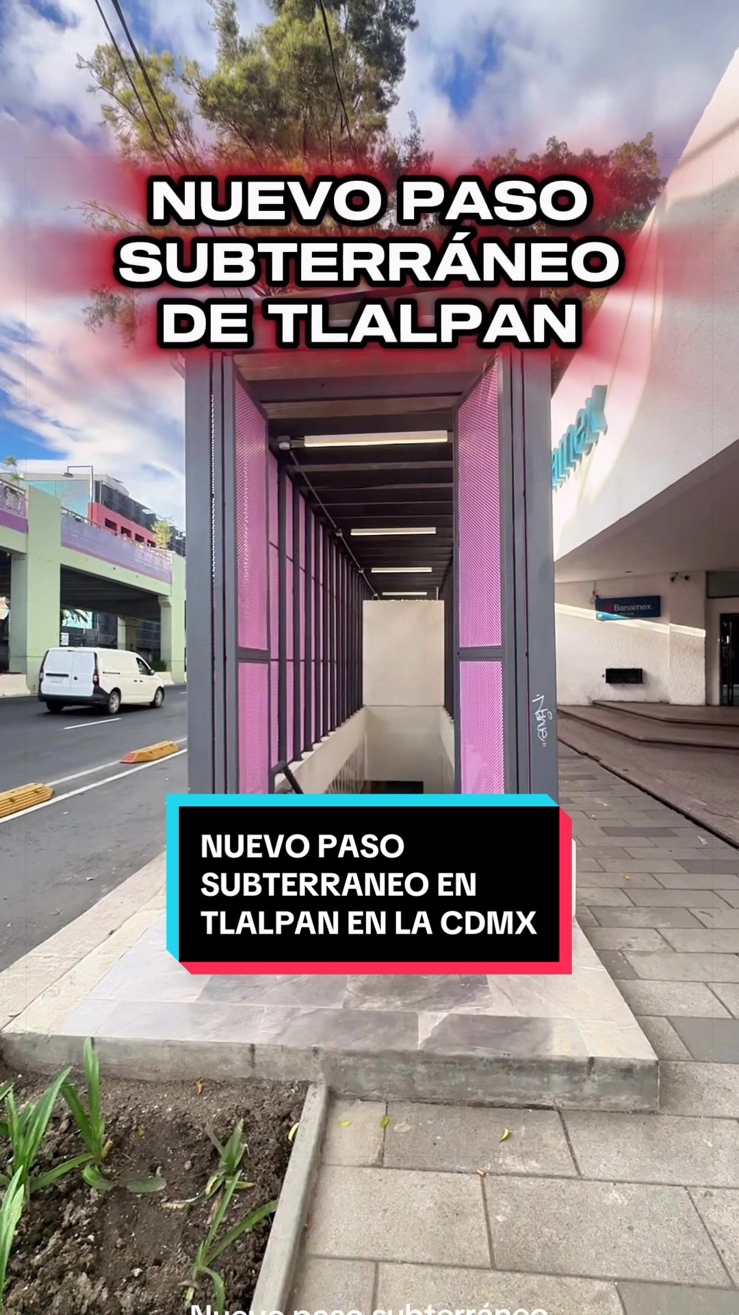 @Soy Hali