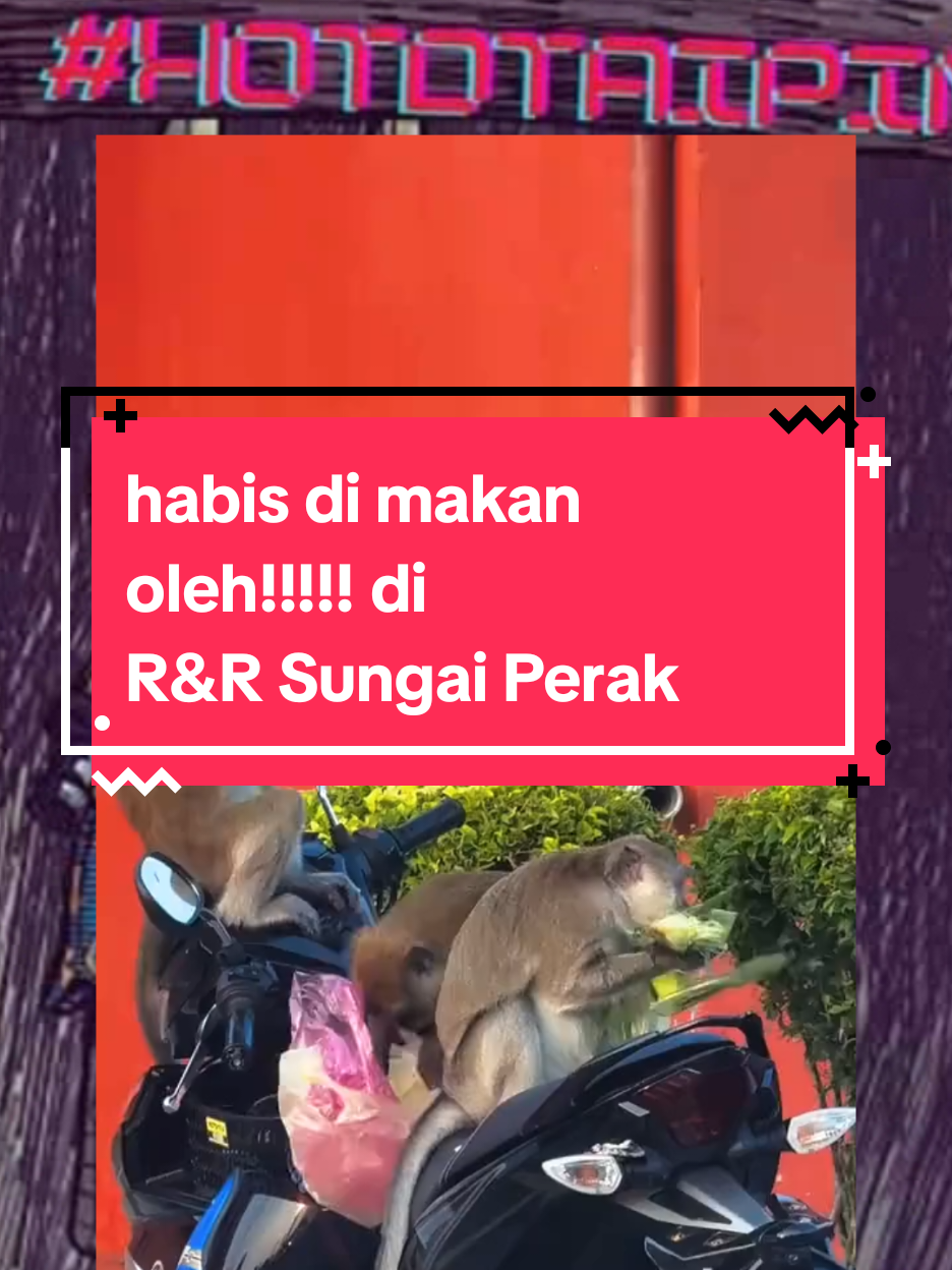 @HotDTaipinghdt