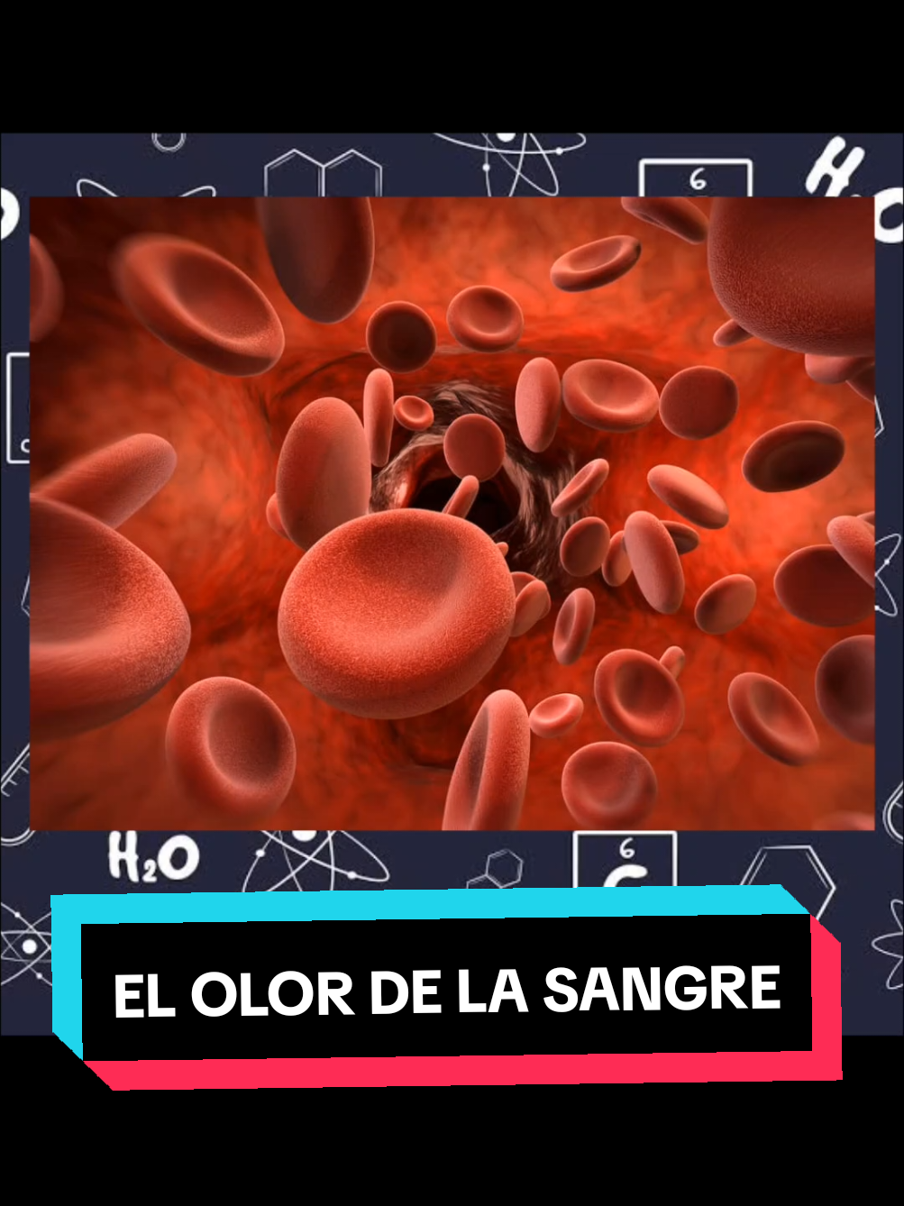 @SixxQuímica