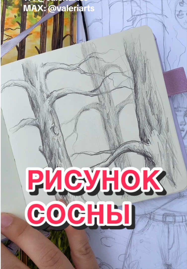@Valeri Arts