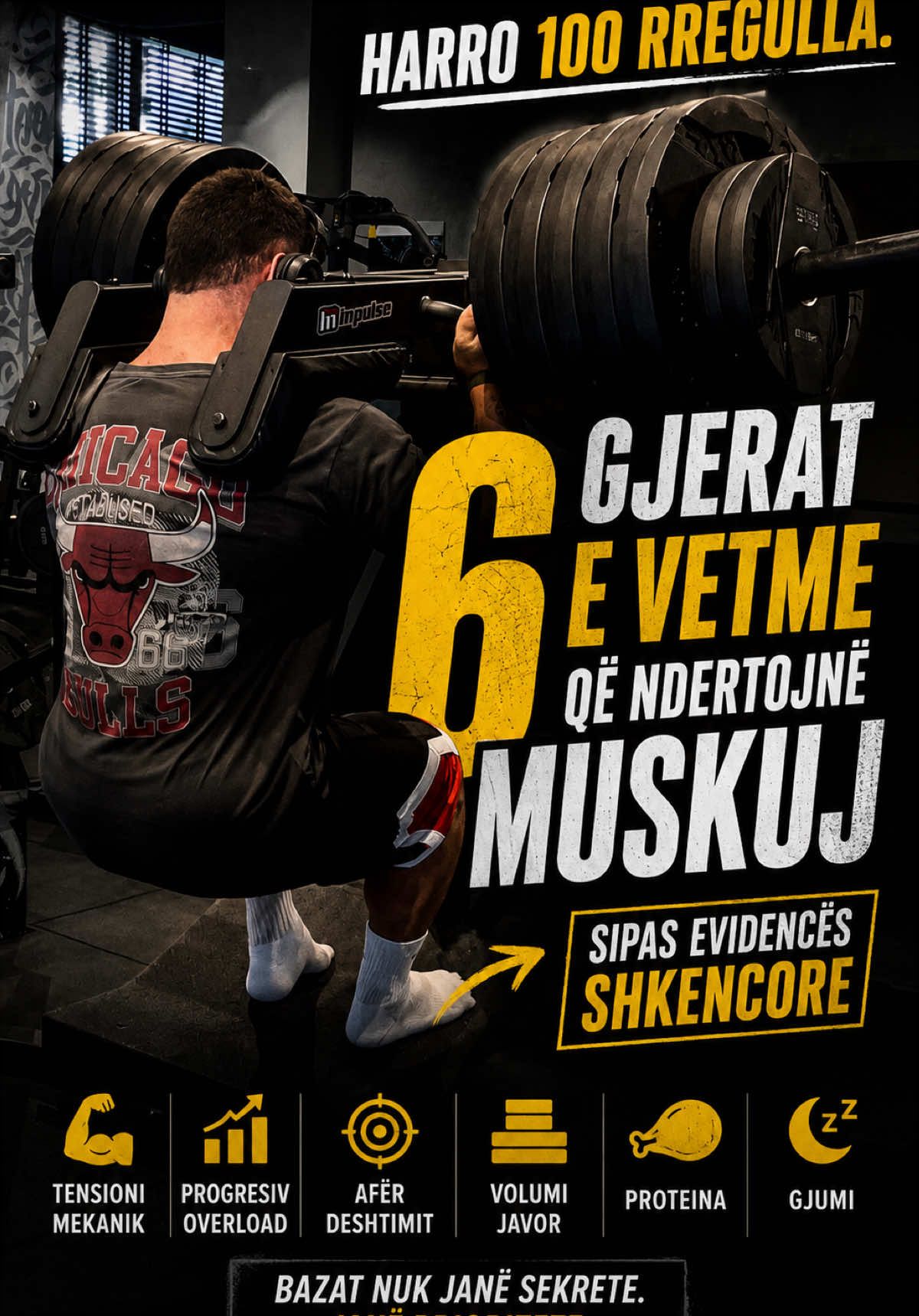 @gjergjrryta07