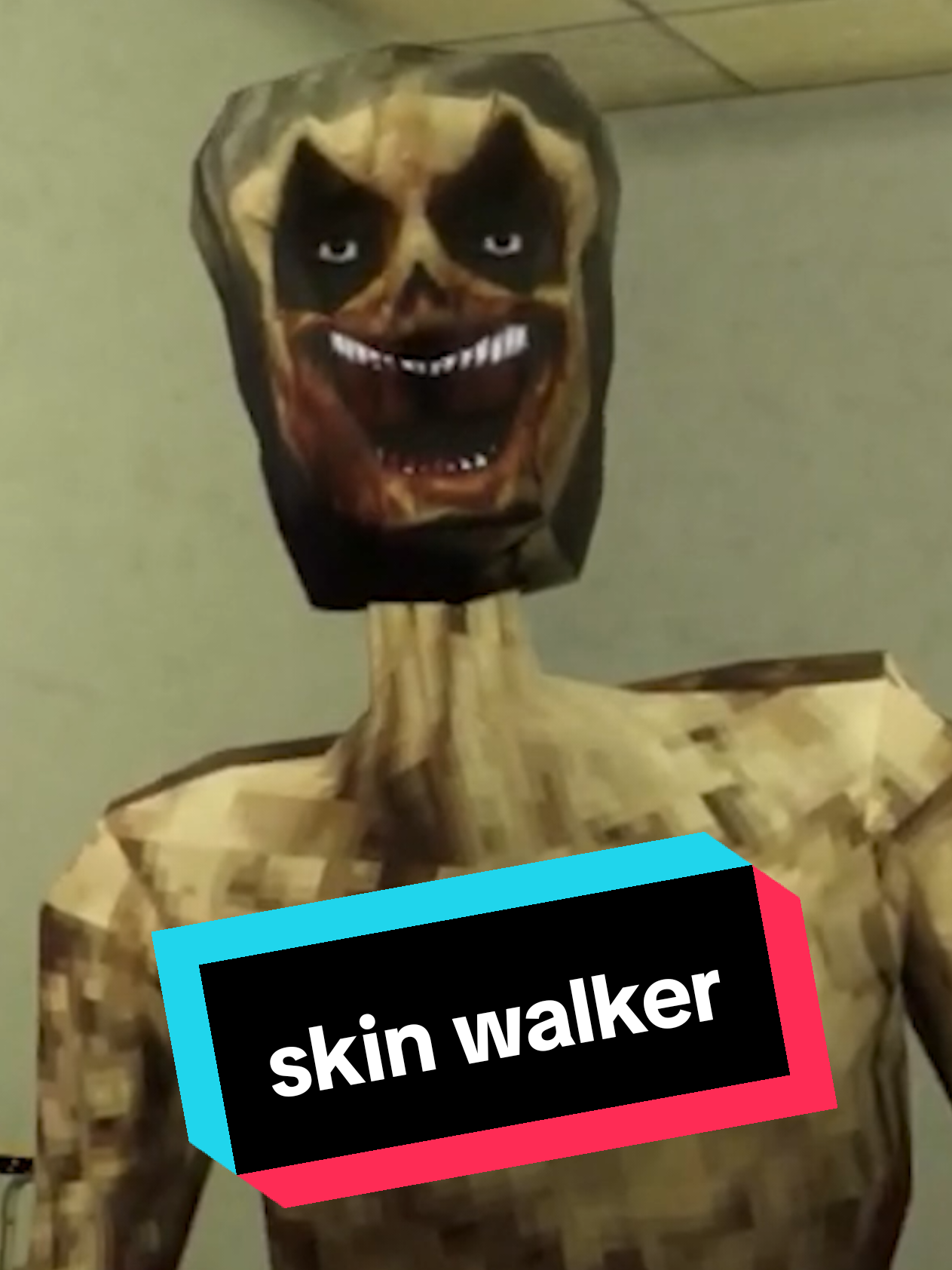 @ChasingSkyler