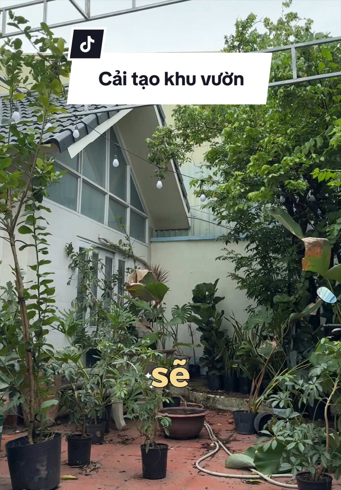 @Vuoncuakien
