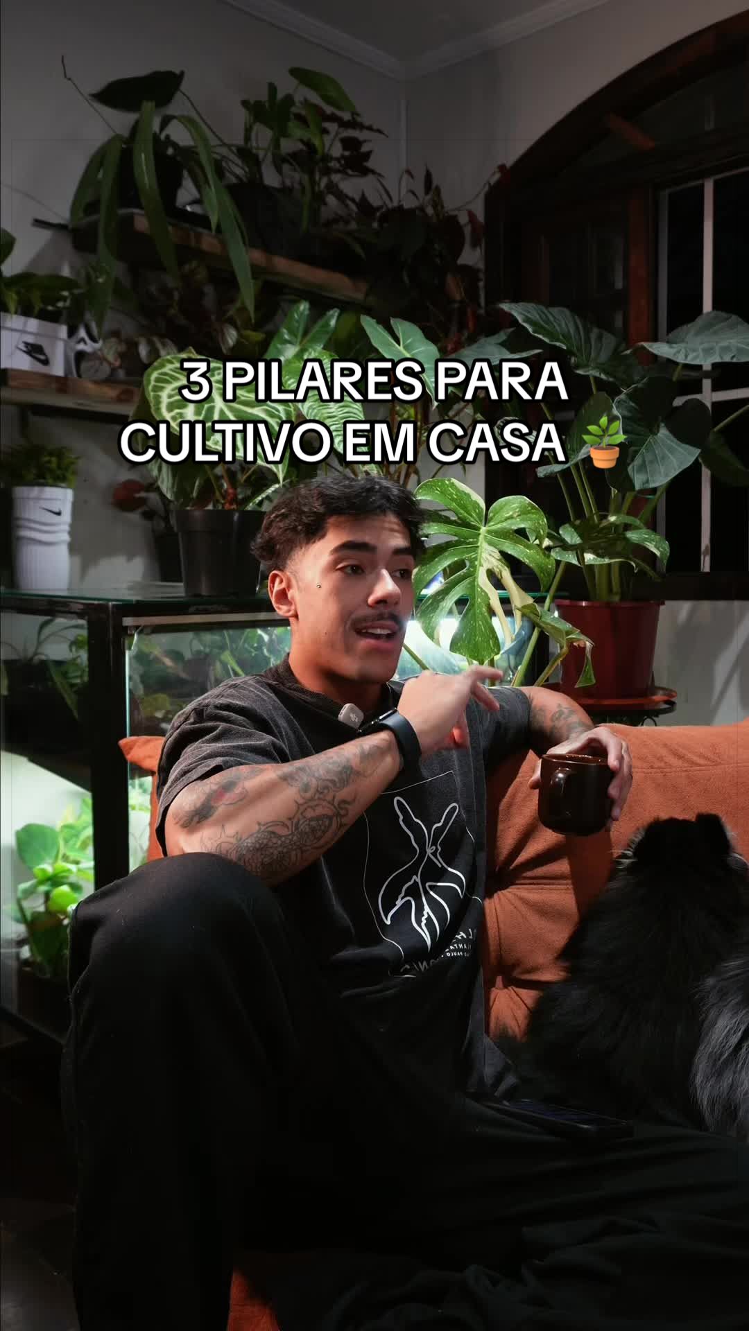 @Otávio Pichirillo