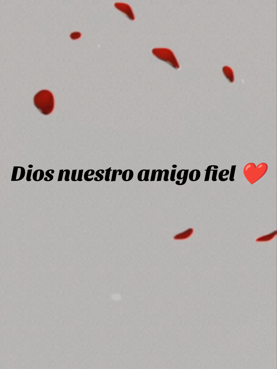 @Lida Leon