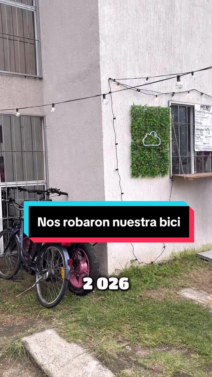 @Con todo y gatos