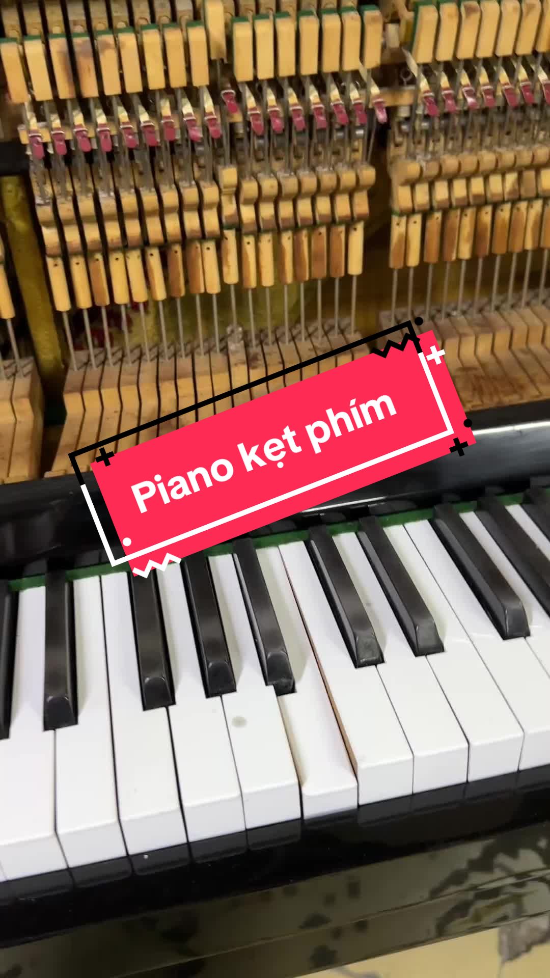 @Tr&iacute; Hiền
