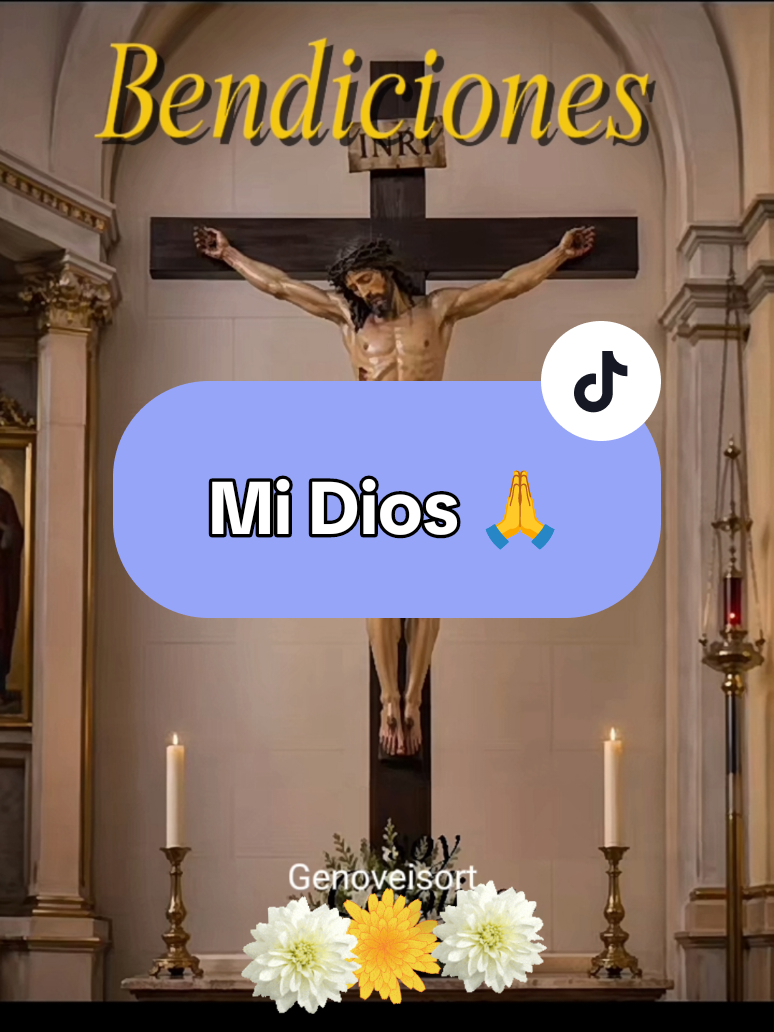 @genoveisordort
