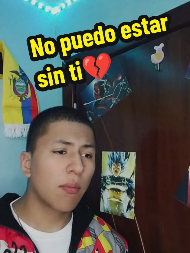 @✨️🎤 ɴɪᴄᴏʟᴀꜱ Jaramillo🐶