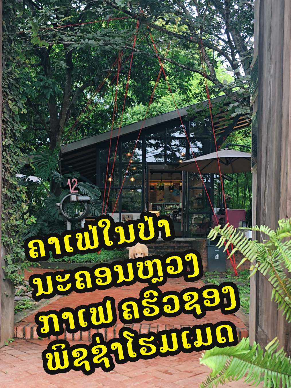 @Switch cafe ສະວິດຈ ຄາເຟ່