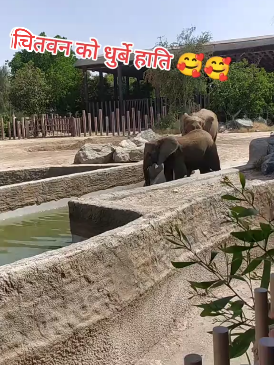 @Tejas&hearts;️Milan😍Khadayat🇦🇪