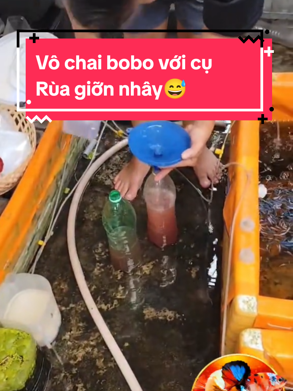 @Nhi Nguyễn Betta