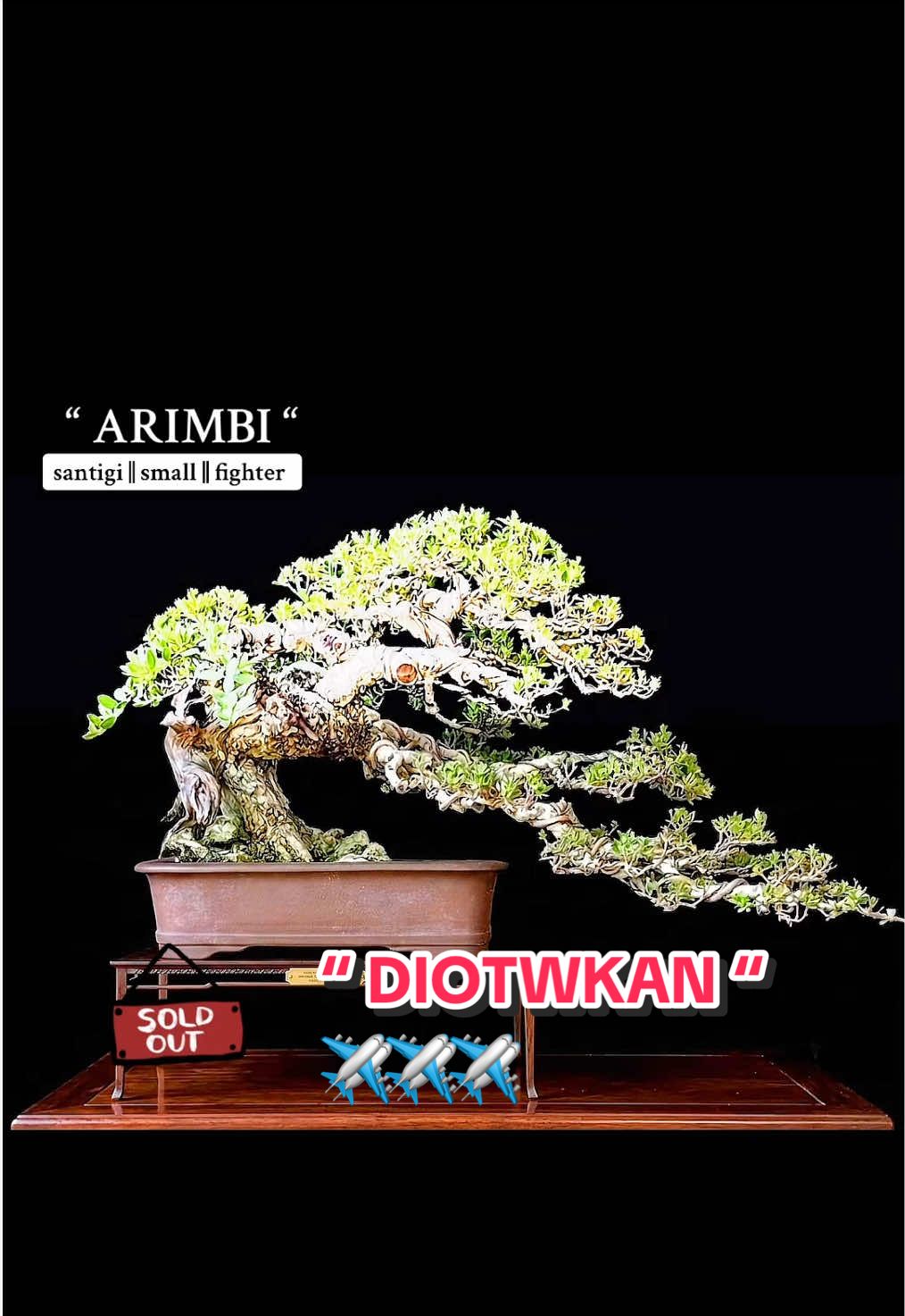 @warbonsai_purwodadi