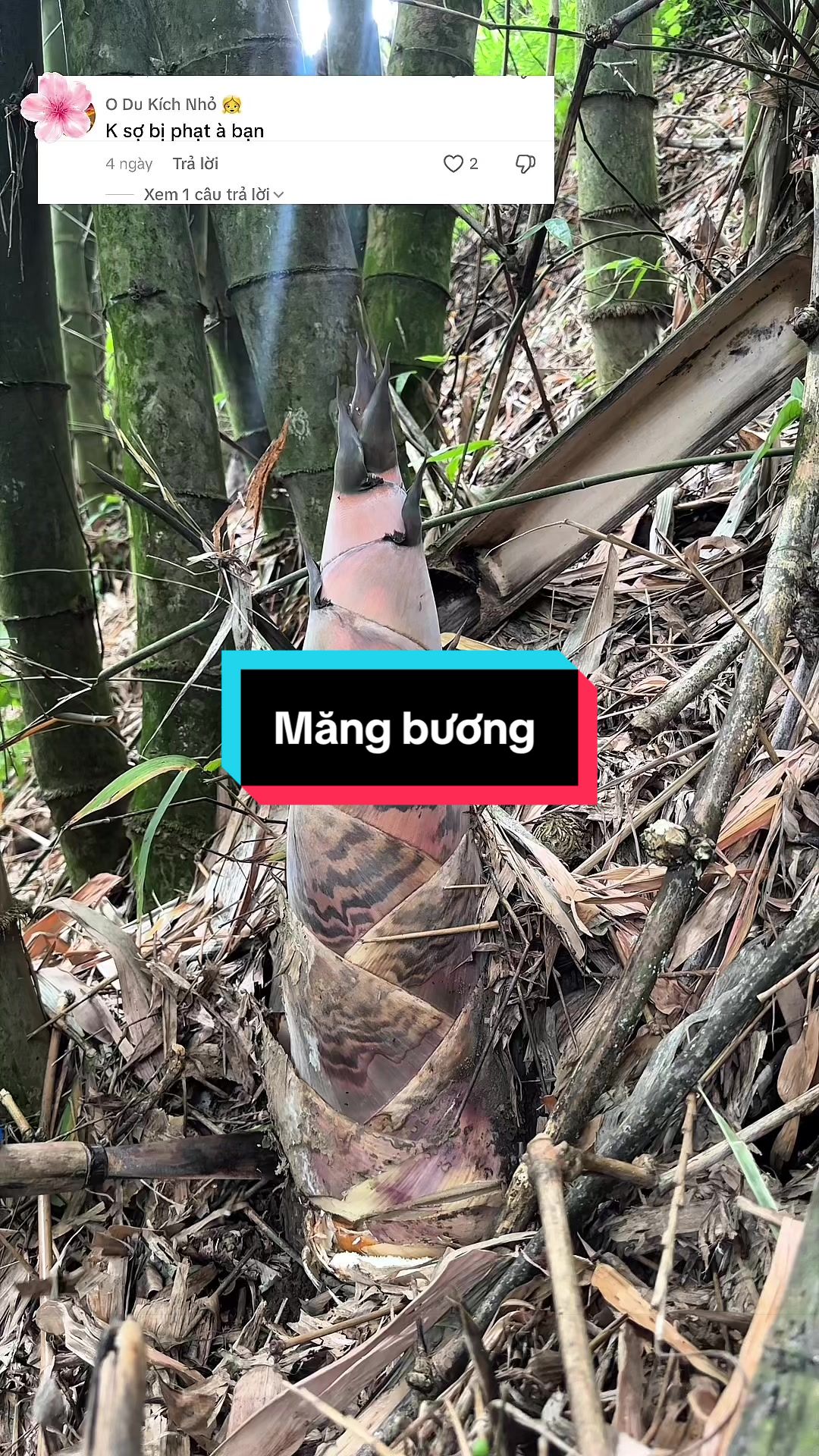 @Nhi Dao Đỏ